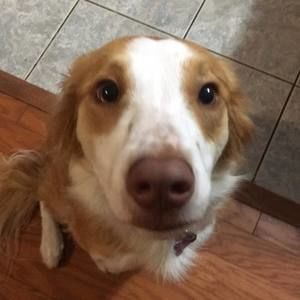 Meet your Posher, Dylan